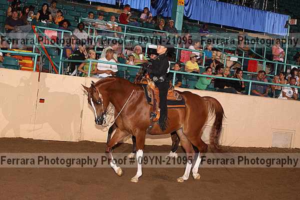 Proof 09yn-21095