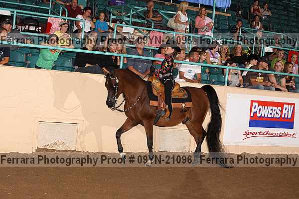 Proof 09yn-21096