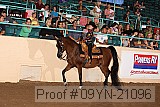 09yn-21096 proof