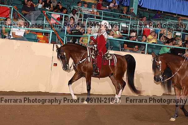 Proof 09yn-21097