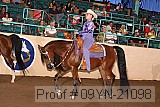 09yn-21098 proof
