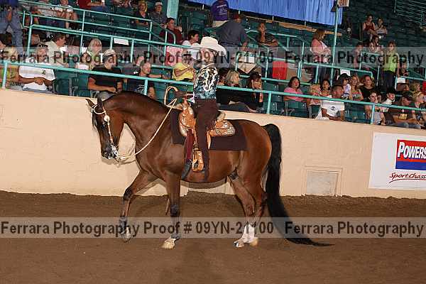 Proof 09yn-21100