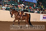 09yn-21100 proof