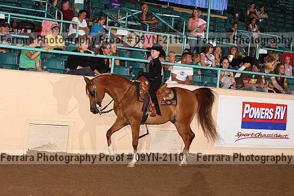Proof 09yn-21101