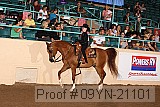 09yn-21101 proof