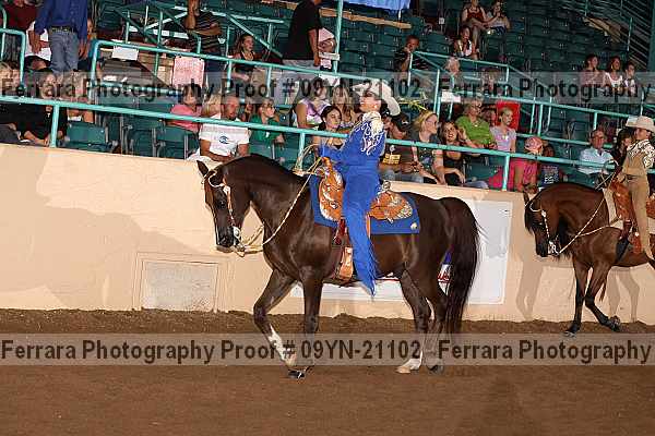 Proof 09yn-21102