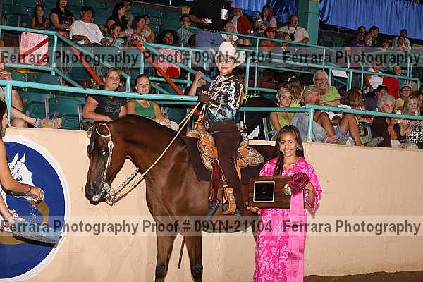 Proof 09yn-21104