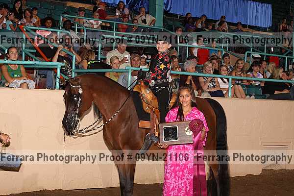 Proof 09yn-21106