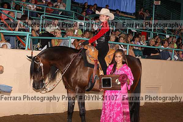Proof 09yn-21107