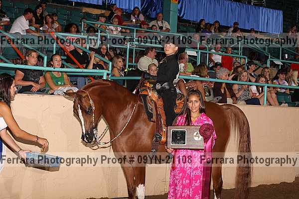 Proof 09yn-21108