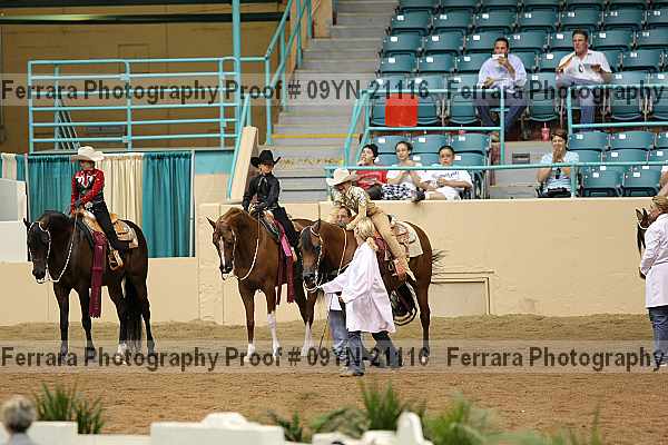 Proof 09yn-21116
