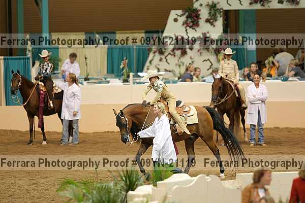 Proof 09yn-21119