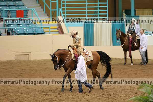 Proof 09yn-21120