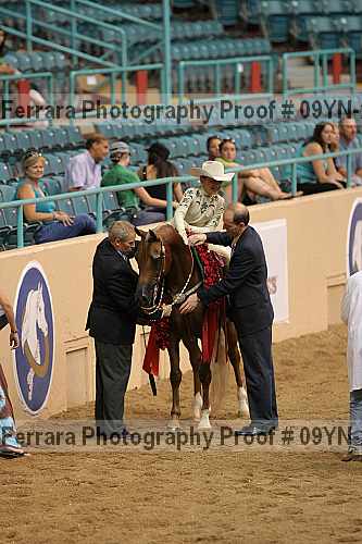 Proof 09yn-21141