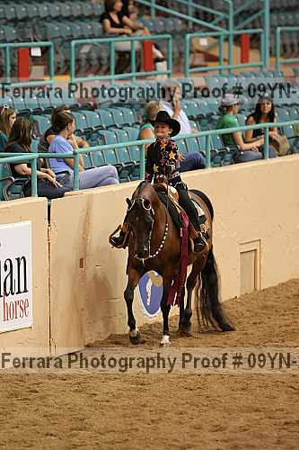 Proof 09yn-21165
