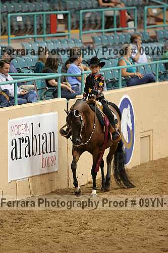 Proof 09yn-21166