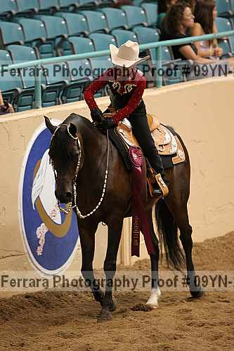 Proof 09yn-21169