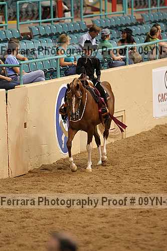 Proof 09yn-21170