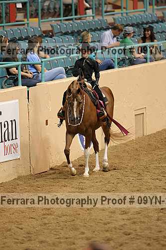 Proof 09yn-21171