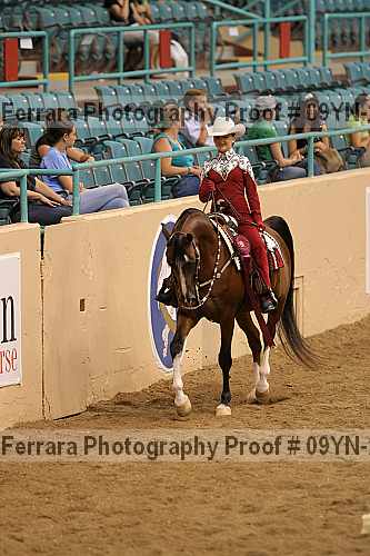 Proof 09yn-21176