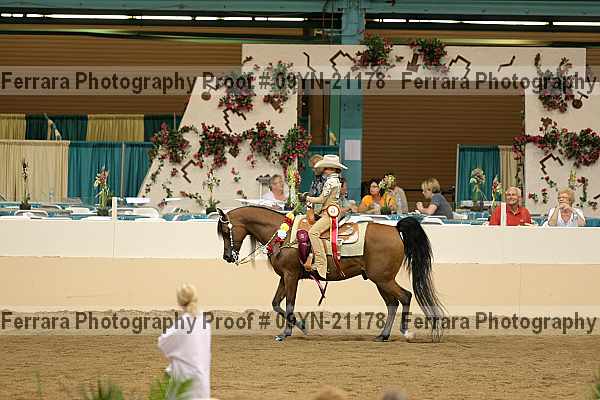 Proof 09yn-21178