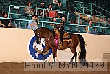 09yn-21179 proof