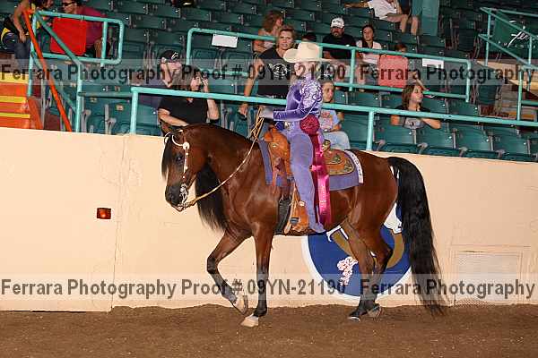 Proof 09yn-21190
