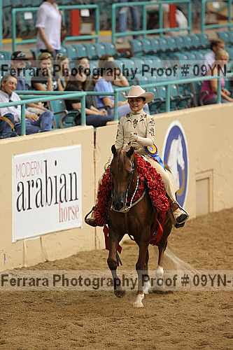 Proof 09yn-21193