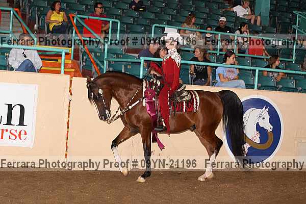 Proof 09yn-21196