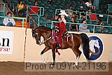 09yn-21196 proof