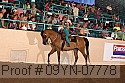 09yn-07778 proof