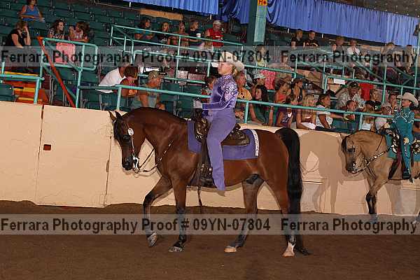 Proof 09yn-07804