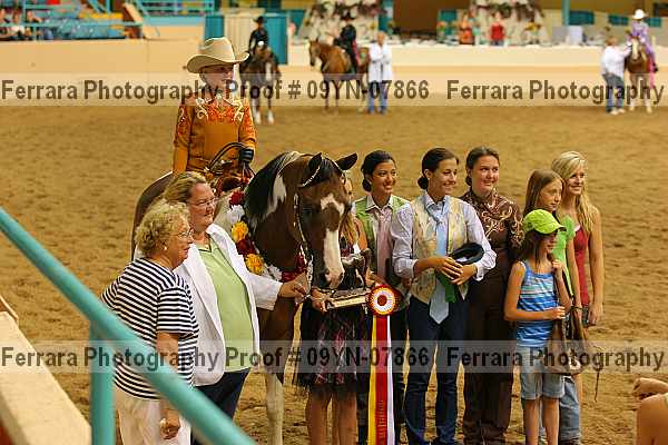 Proof 09yn-07866