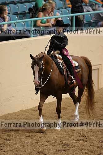 Proof 09yn-07882