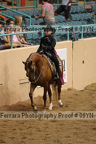 Proof 09yn-07884