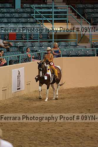 Proof 09yn-07906