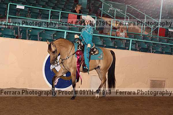 Proof 09yn-07913