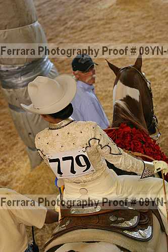 Proof 09yn-07933