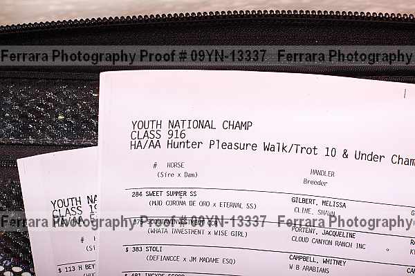 Proof 09yn-13337
