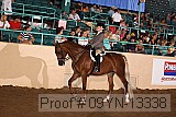 09yn-13338 proof