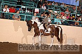 09yn-13339 proof