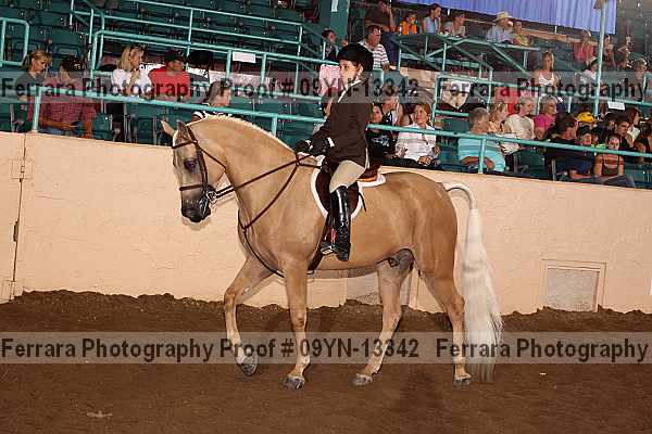 Proof 09yn-13342