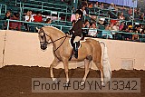 09yn-13342 proof