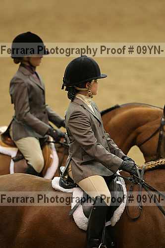 Proof 09yn-13343