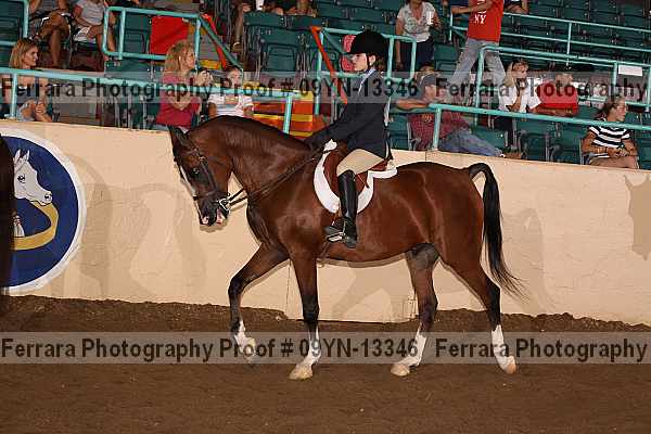 Proof 09yn-13346