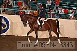 09yn-13346 proof