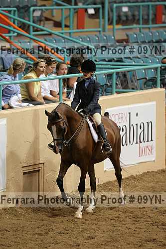 Proof 09yn-13348