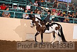 09yn-13349 proof