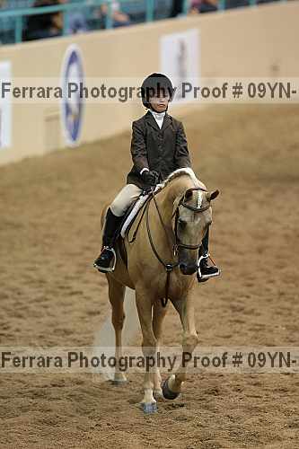 Proof 09yn-13353