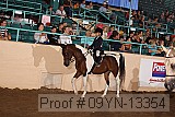 09yn-13354 proof